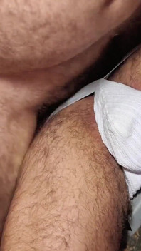 Nécessités De L’ours