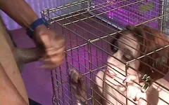 In the cage!!