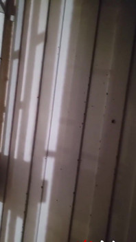 Jering of in my window and with my door open. I'll get caught one day