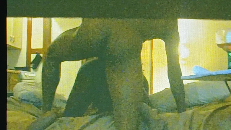 TS freaky MILF: Rimming BBC