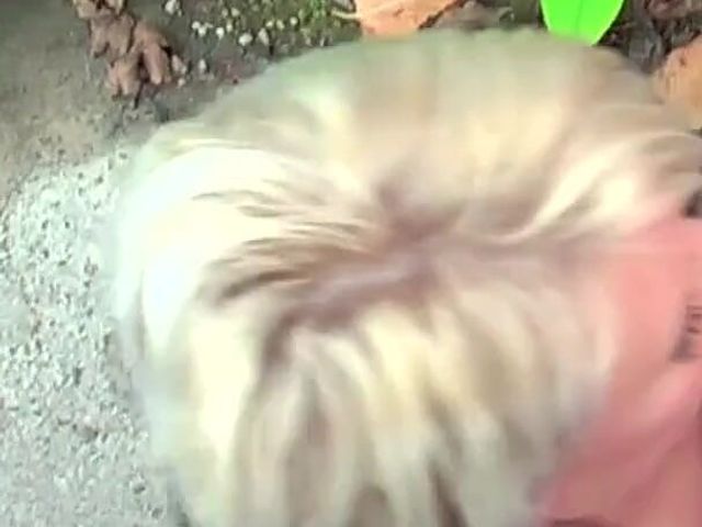 German Piss Blowjob (German BDSM MMV)