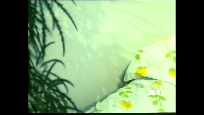 Rocco Siffredi and Friends: 털이 많은 음경과 보지