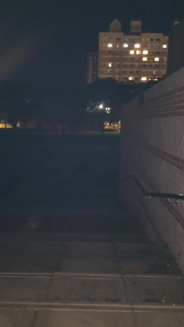 NotAFuta: 夜间公园露出者：暴露狂吉娜