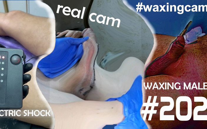 WaxingCam: #202 Lelaki Waxing Stimulasi Elektrik