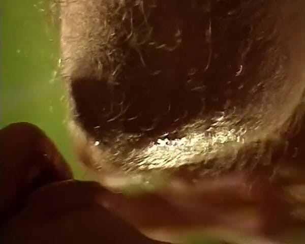 Top Line video: 핫하고 음란한 그룹 섹스 애호가를 위한 풀 이탈리아 아마추어 영화 Spremuta Di Palle E Sperma