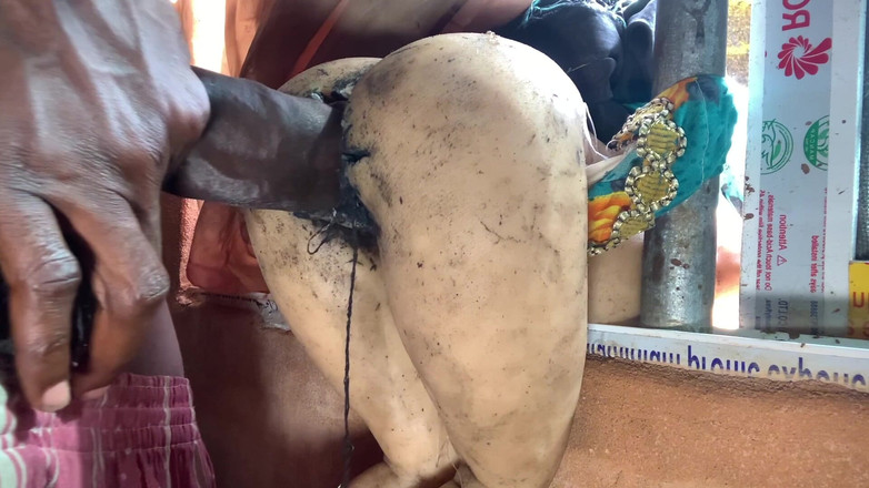 Bangcum8: Show de sexe avec une grosse harde