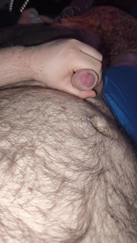 Dikke Bear Die Zich Aftrekt En Klaarkomt Op Een Harige Buik