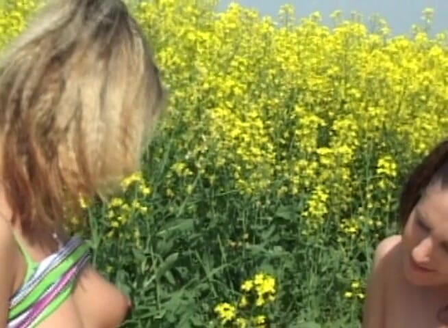Lesbo Tube: Teen sluts fucking in high grass
