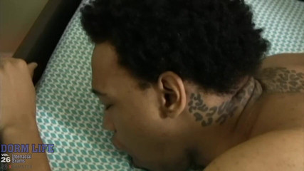 CocoDorm: Dormitorio de vida # 26 - escena 5