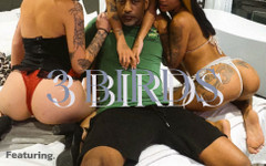 Clarkes Boutaine: Tres hermosas chicas brasileñas y una gran polla negra en...