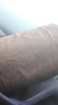 Most Wanted Cock