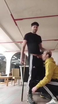 Compilação De Tubos