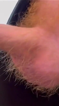 Hairy Bear Seattle Tata Hoduje Ginger Cub Logan Stanley W Swoim Pokoju Hotelowym