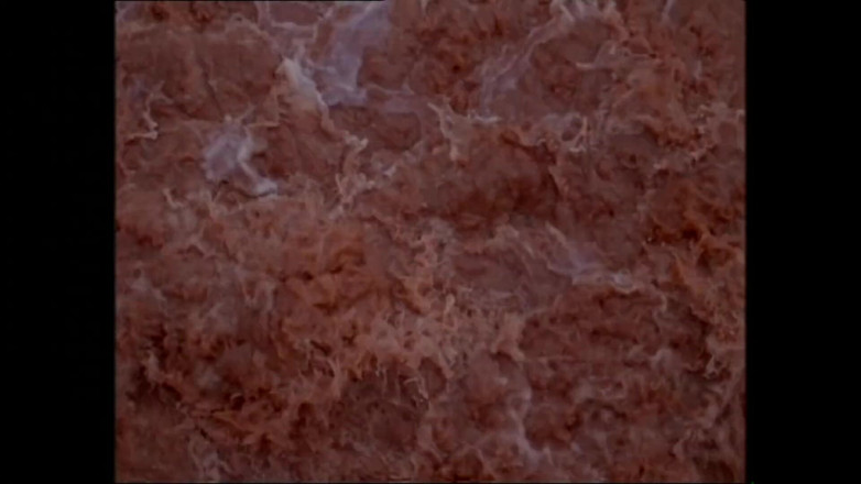 MMV TV - our best full movie: Sex Im Schlamm