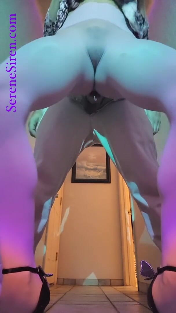 Serene Siren: アウターコースシームレスパンスト太ももコキ中出し