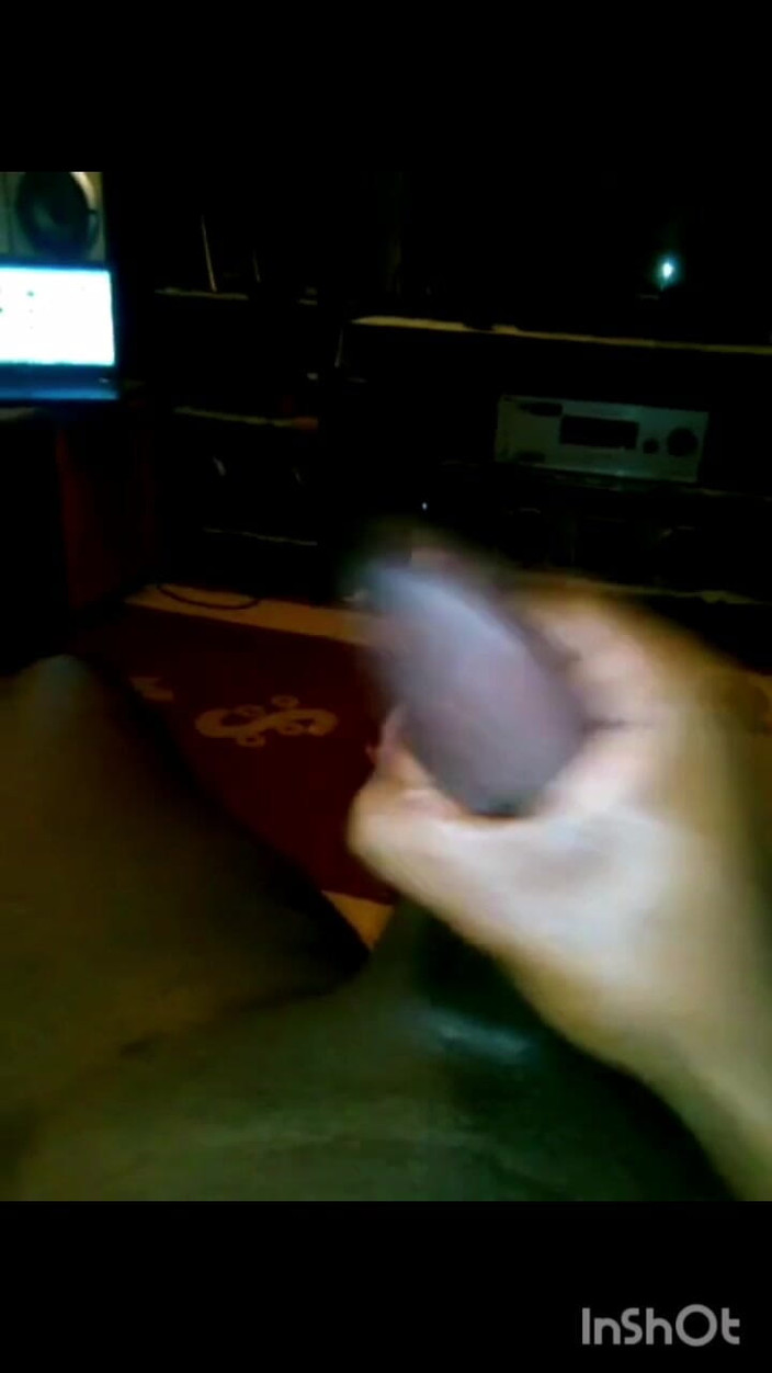 Rex Bitchington Blade: Fun at Night Home Alone