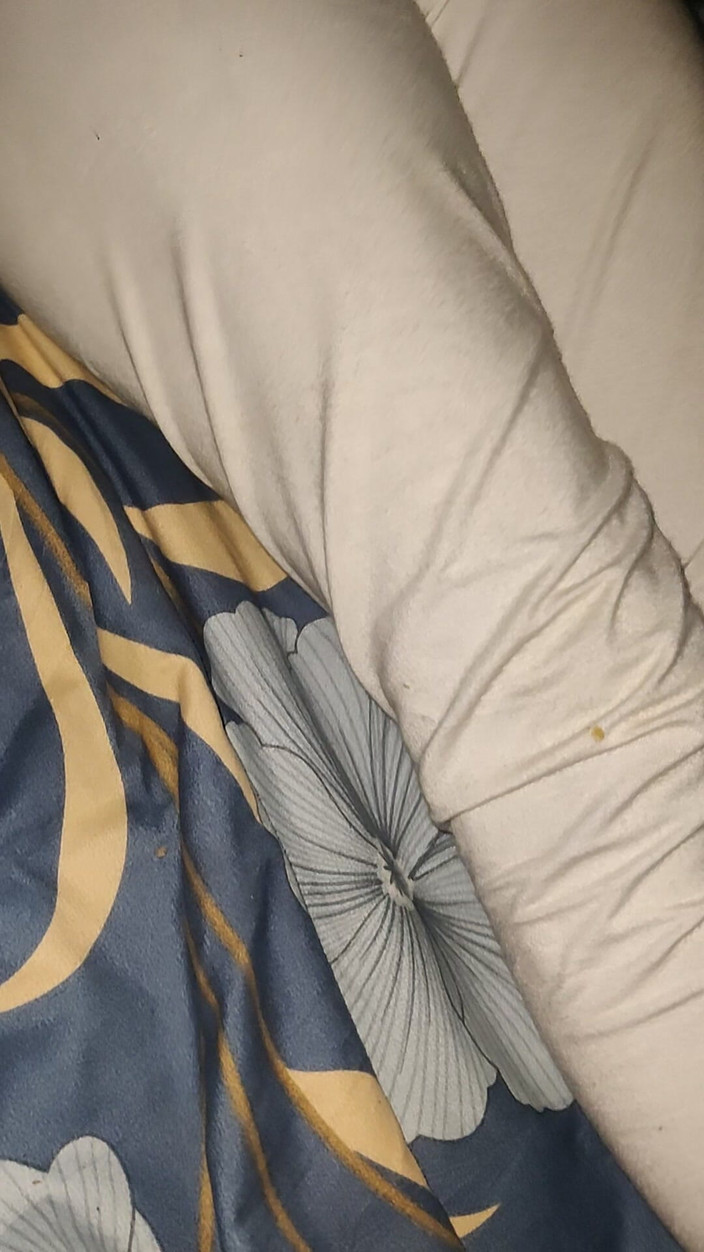 Desi_sexy_boy: 펀자브 베개 토크