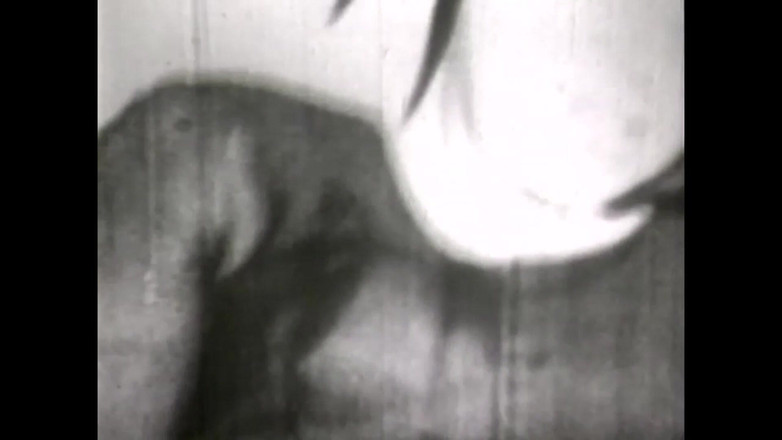 The Unforgettable: Sex se nikdy nemění