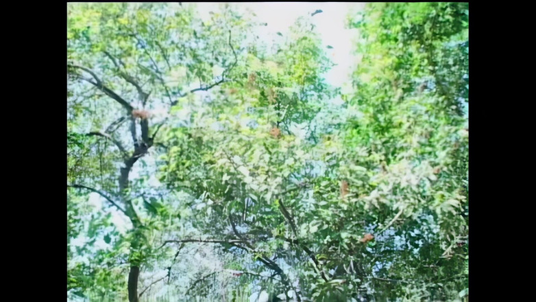 Blitzporn: Een mooie brunette die ervan houdt om buiten pik te...