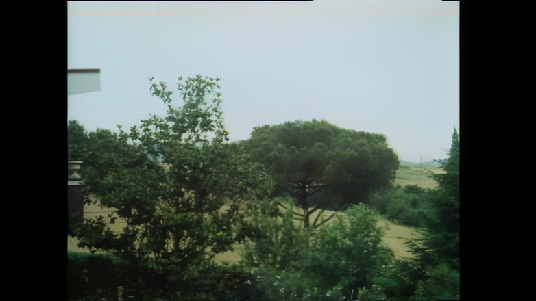 Rocco Siffredi and Friends: 핫한 에로틱 쓰리섬 - (파트)