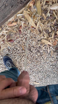 Peeing in the Garden