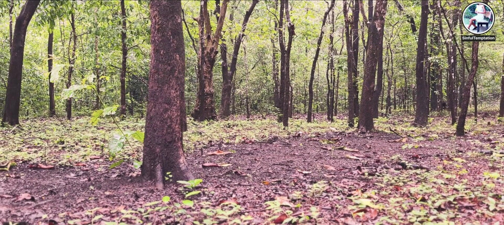 Ziya: 丛林裸体，自慰，潮吹