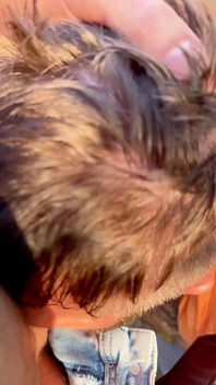 I Decided to Jerk off in the Woods, but Something Didn't Go According to Plan