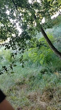 Beautiful Girl Gets Lost in the Woods with a Stranger