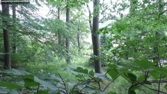 숲에서 따먹히는 트란니 걸레