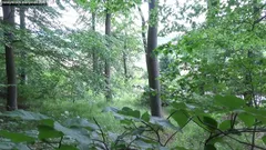 Puta transexual cazando utilizada en el bosque