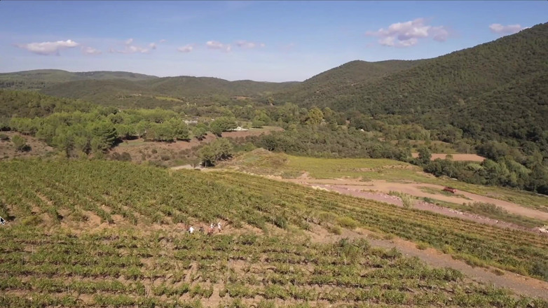 Jet sex prod: Parthouze in the Var Vineyards