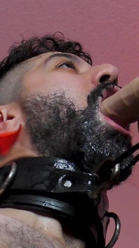 Mayo de 2026 en vivo - Ricky Cage hace garganta profunda con máquina de polla