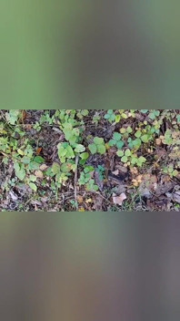 Biały chudy chłopak sikanie, spust i bez użycia rąk spust