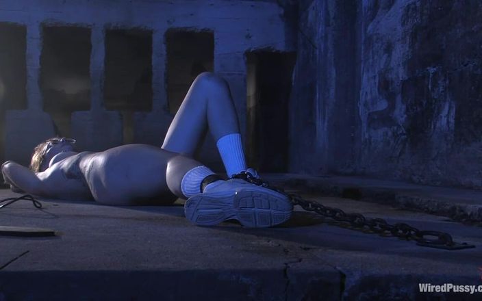 Wired Pussy by Kink: जयघोष