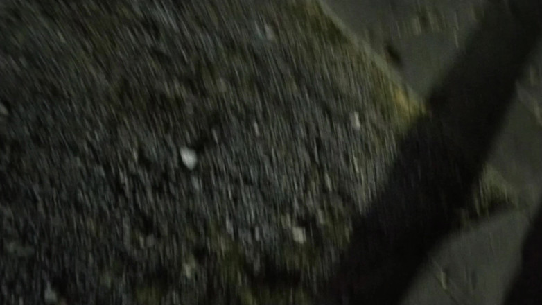 Toilet Mommy: 户外暴露女孩舔男人的屁股