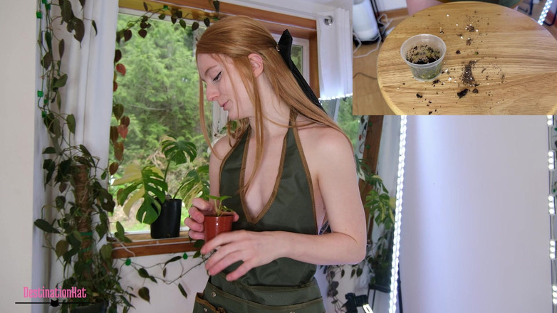 Destination Kat: Zahradničení s Kat- repotting Monsteras Sfw
