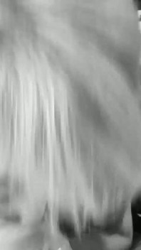 映画;5677