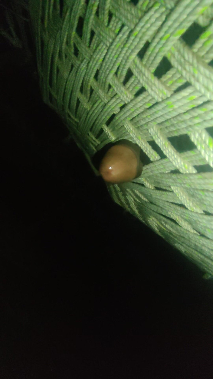 DESIfUCKER001: Spokojenost s masturbací