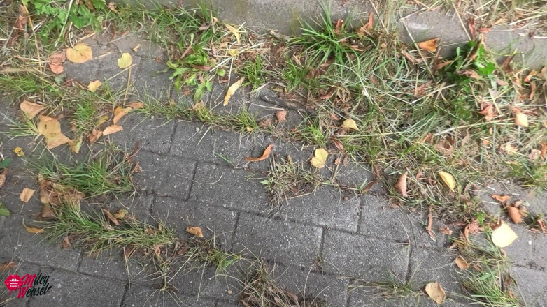 Miley Weasel: Wtf!! Fickdate Mitten an Der Hauptstrasse!!