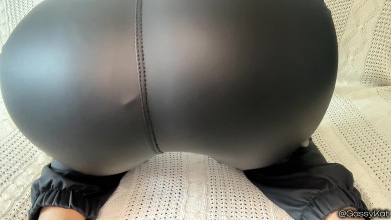 GassyKat: Da mặt xì hơi pov: đít trong khuôn mặt của bạn