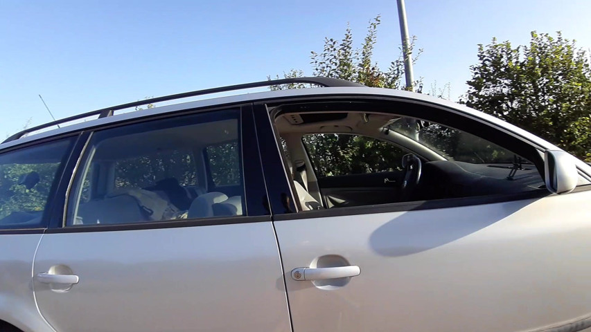 Sunny by the Car (Sweet Feet Studio)