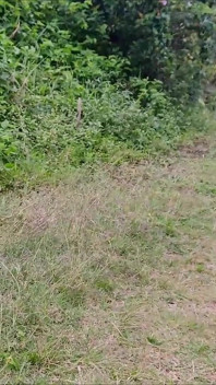Esposa Vai Ao Parque Sem Calcinha Se Exibir!