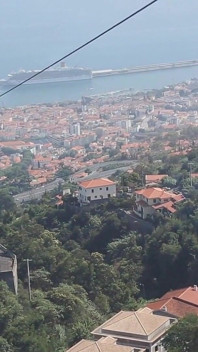 Bonita turista
