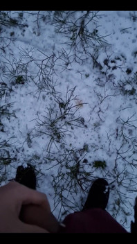 Baby It's Cold Outside