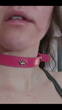 What Do You Think of My New Collar?