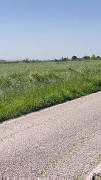 Follar Y Hacer Paja Con Los Pies Después De Correr Por El Campo