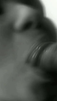 Trailer405