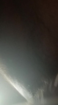 White Cock