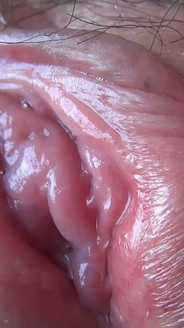 reikodouga: Close-up of a Plump Pussy