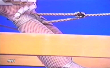 Art of Bondage: Dominated hog tied - DVD